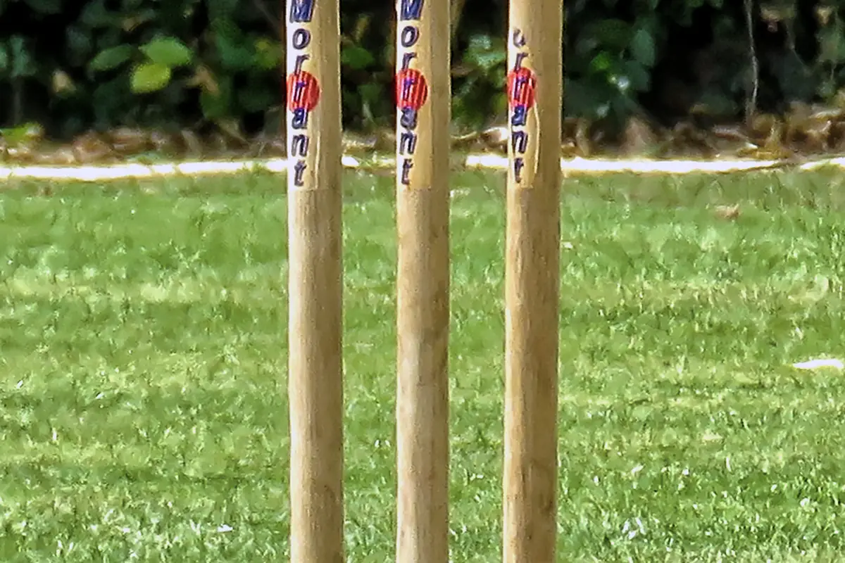 Cricket stumps standing on a grass pitch