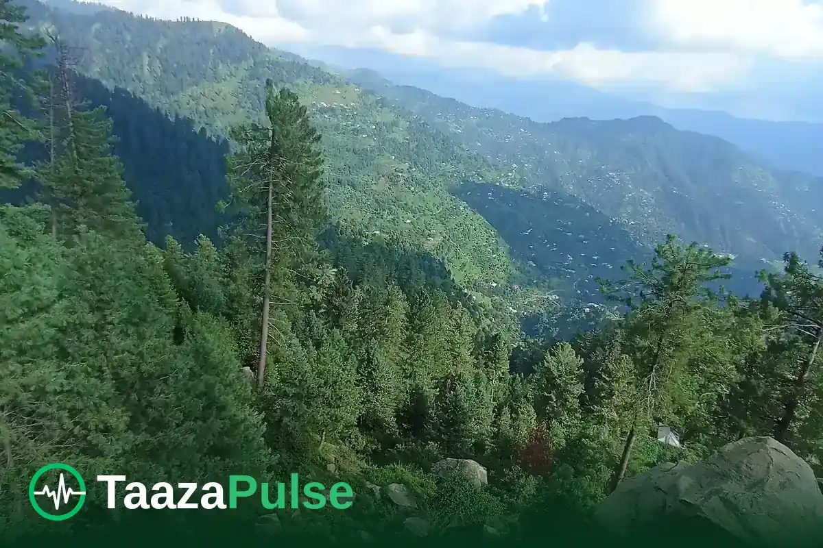 Forested hills and scattered village houses in Bagh District, Azad Kashmir