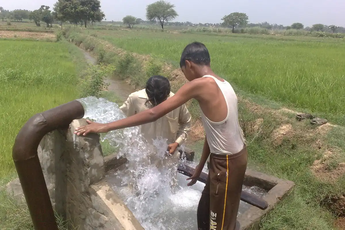 Farmland in Samundri Tehsil, Punjab, Pakistan