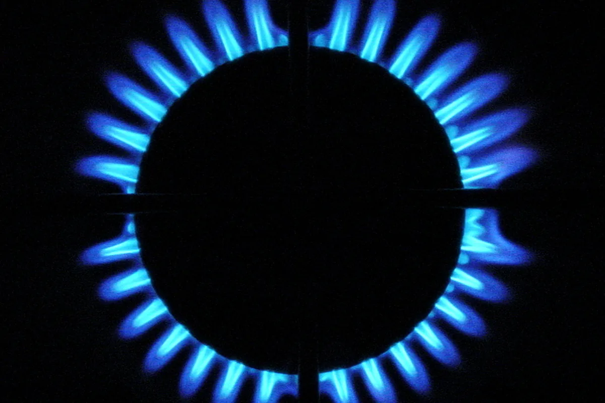 A blue gas flame on a stove burner