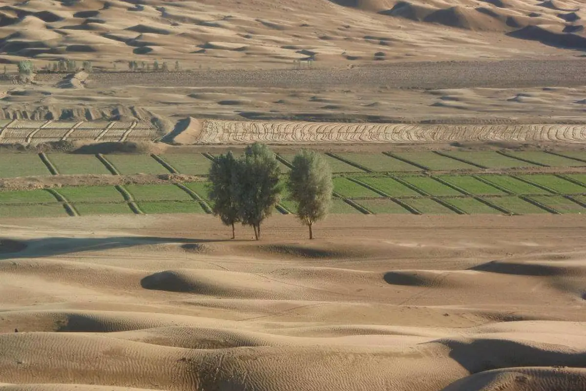 Desert dunes with a strip of green cultivated land in Balochistan