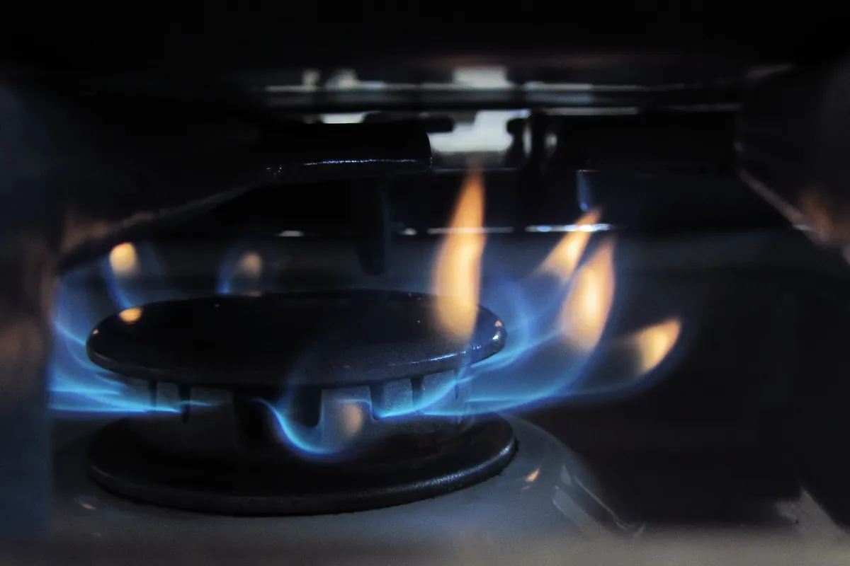 Blue flames burning on a gas stove burner