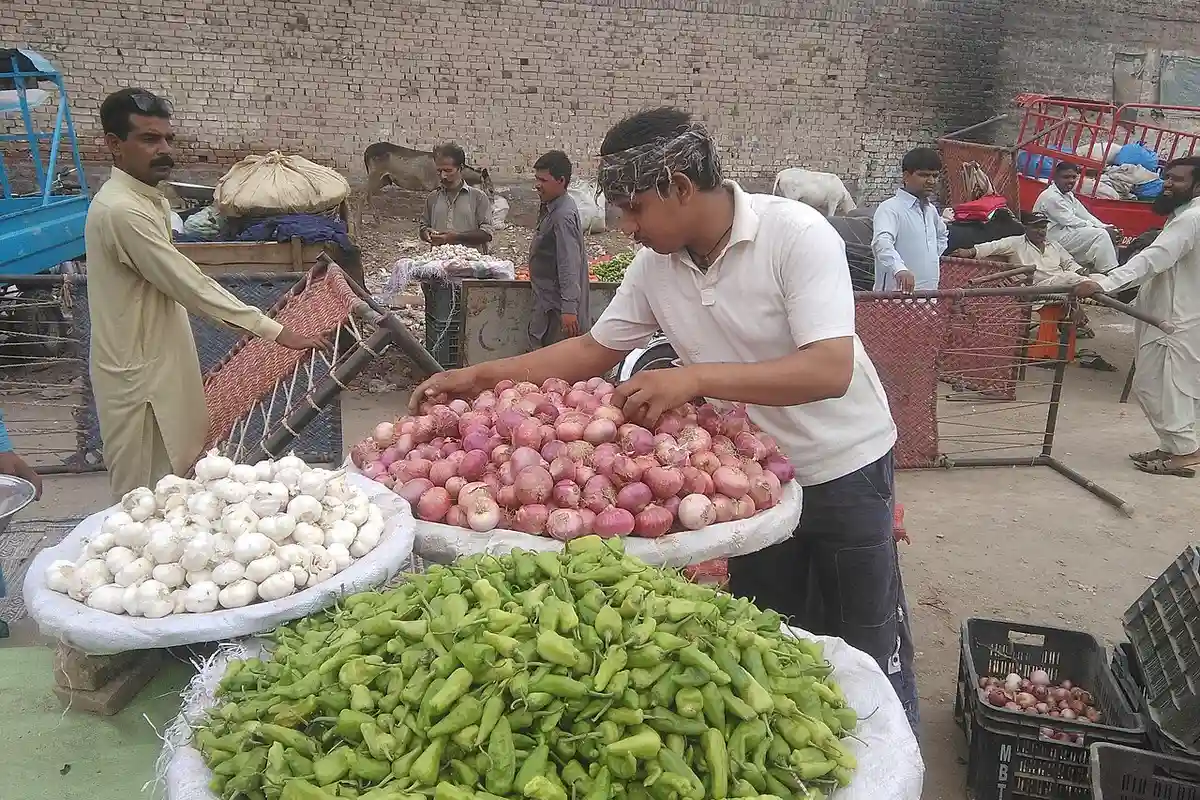 A vendor arranging onions, garlic and green chillies at a Pakistani bazaar stall