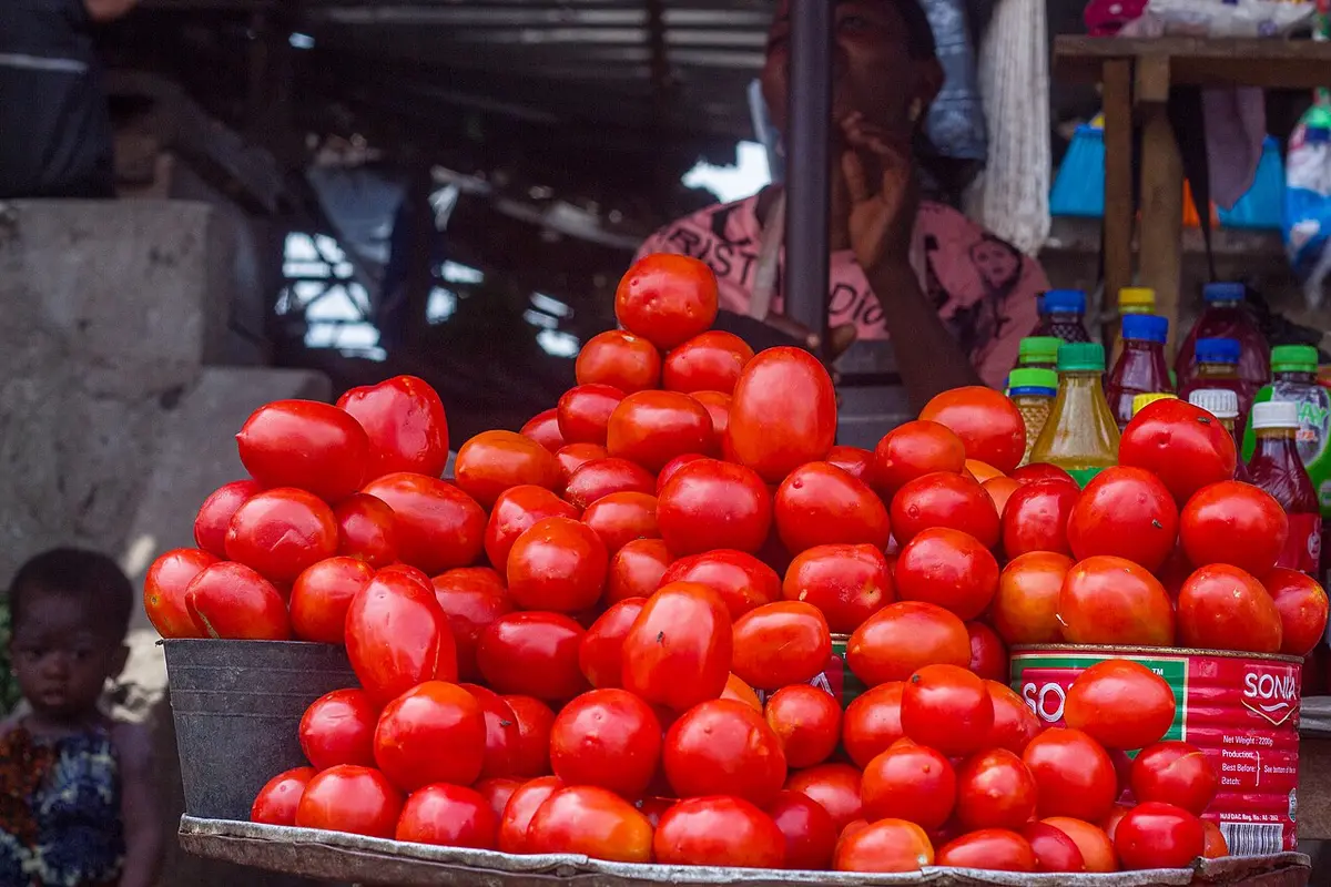 Fresh red tomatoes stacked high at a market stall